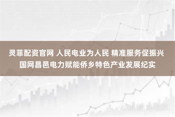 灵菲配资官网 人民电业为人民 精准服务促振兴 国网昌邑电力赋能侨乡特色产业发展纪实