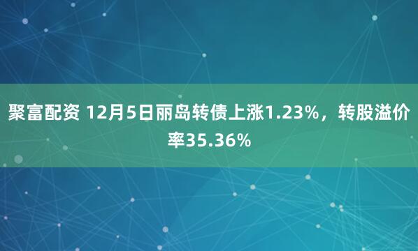 聚富配资 12月5日丽岛转债上涨1.23%，转股溢价率35.36%