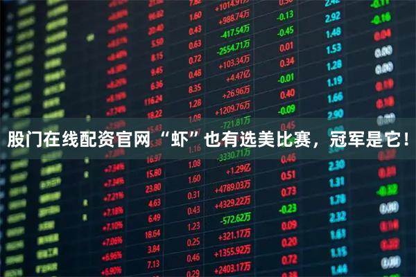 股门在线配资官网 “虾”也有选美比赛，冠军是它！