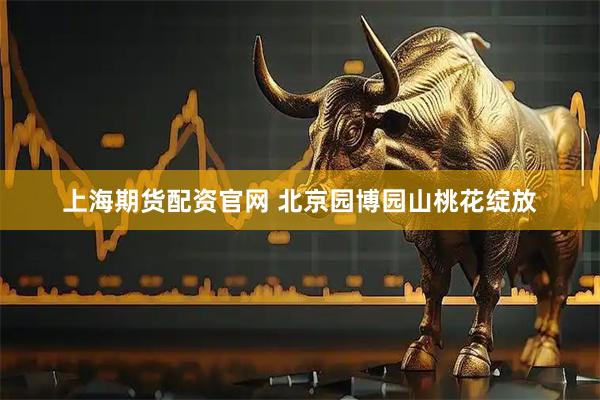 上海期货配资官网 北京园博园山桃花绽放