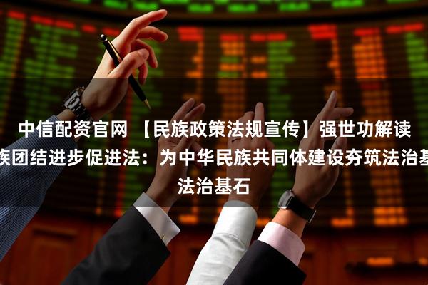 中信配资官网 【民族政策法规宣传】强世功解读民族团结进步促进法：为中华民族共同体建设夯筑法治基石