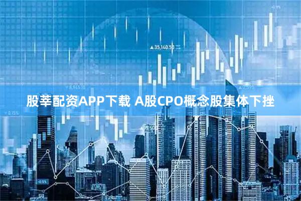 股莘配资APP下载 A股CPO概念股集体下挫