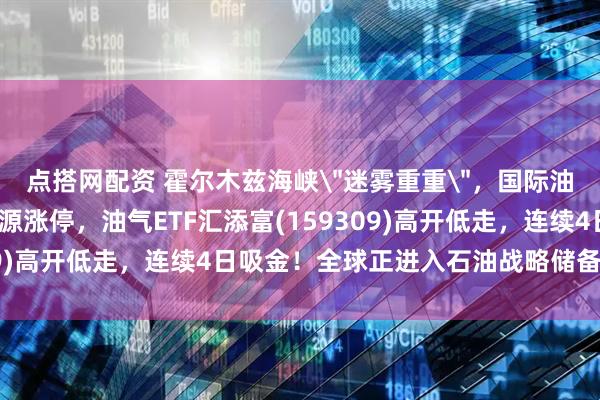 点搭网配资 霍尔木兹海峡＂迷雾重重＂，国际油价飙涨超4%！九丰能源涨停，油气ETF汇添富(159309)高开低走，连续4日吸金！全球正进入石油战略储备补库期